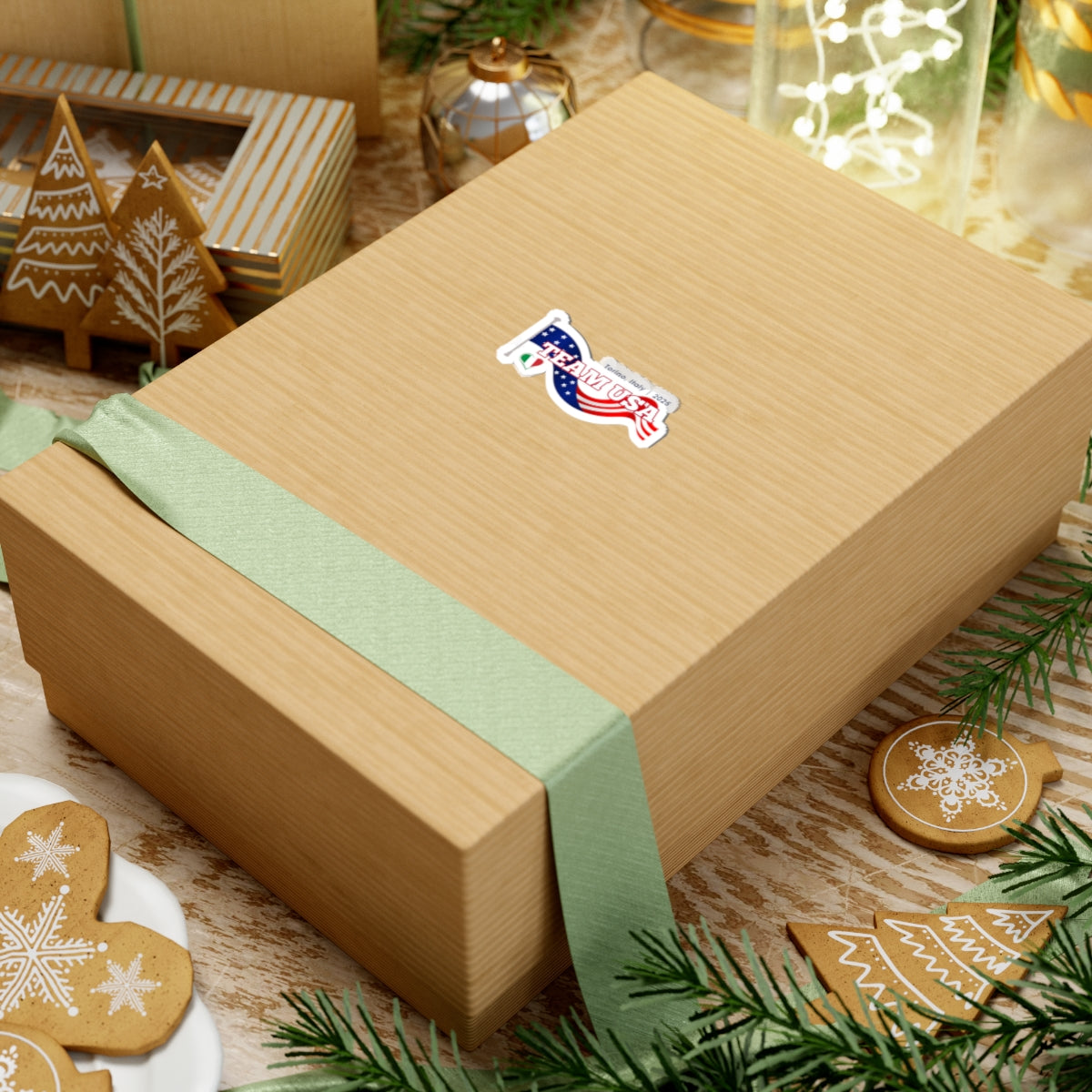 IBTF Team USA | Stickers