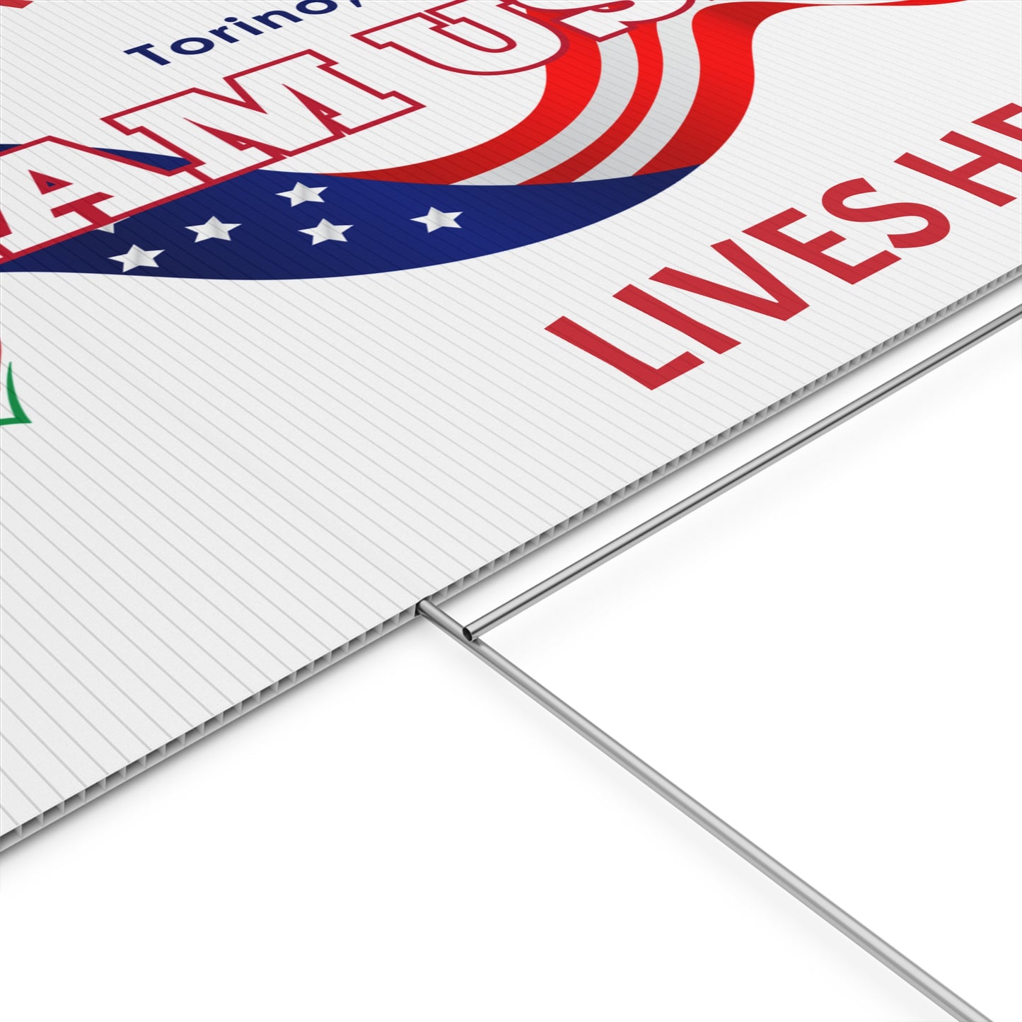 TEAM USA Yard Sign