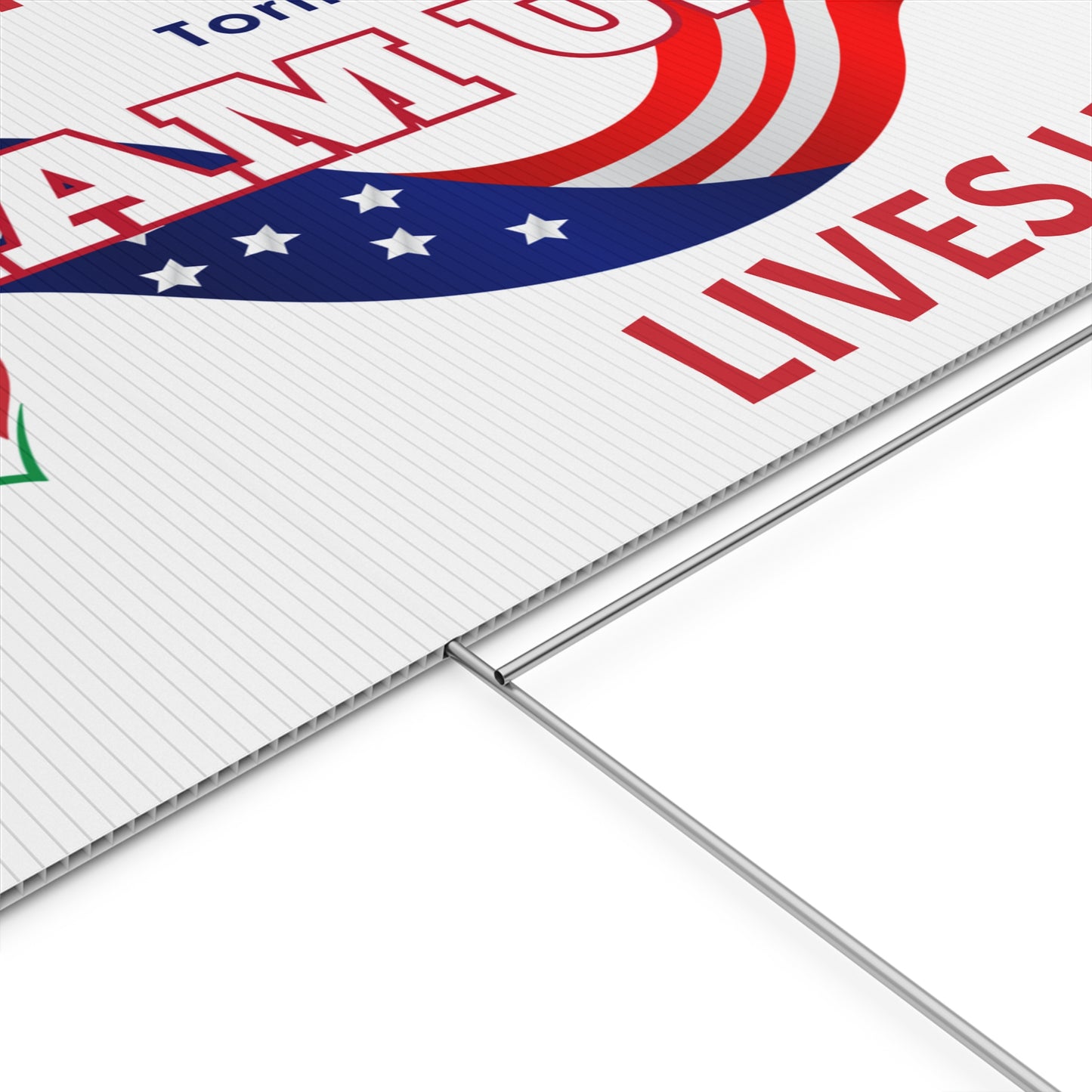 TEAM USA Yard Sign