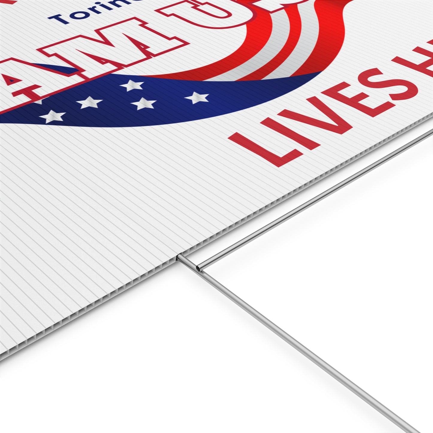 TEAM USA Yard Sign